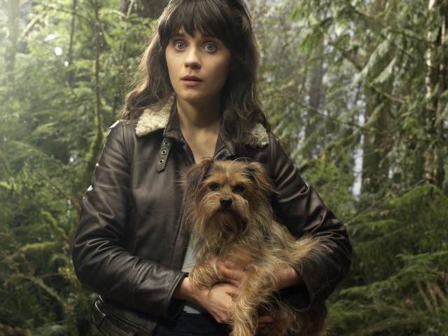 Woman leather jacket dog forest free wallpaper - medium preview image