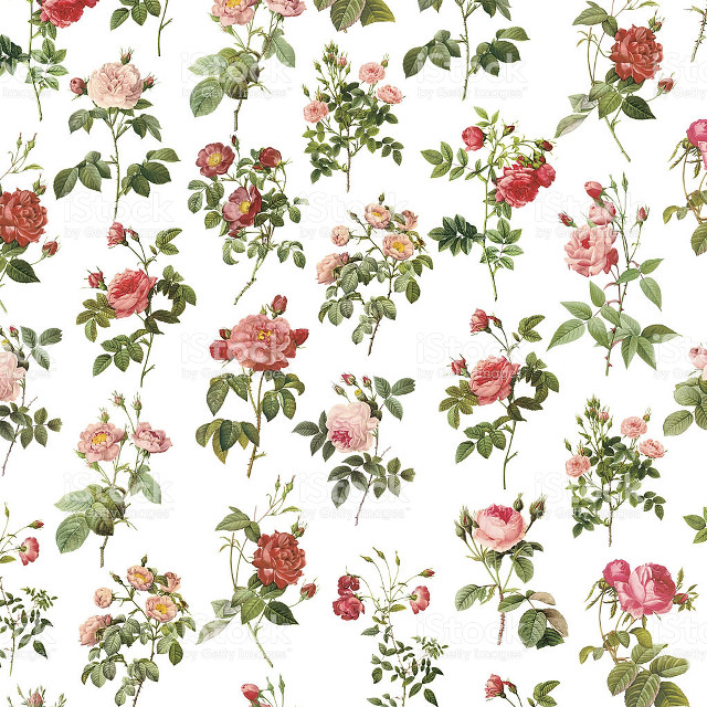 White background flower pattern royalty free wallpaper - medium preview image