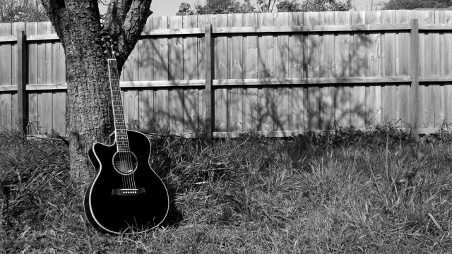 Guitar grass tree backyard fence free wallpaper - medium preview image
