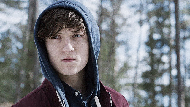 Young man hoodie forest serious free wallpaper - medium preview image