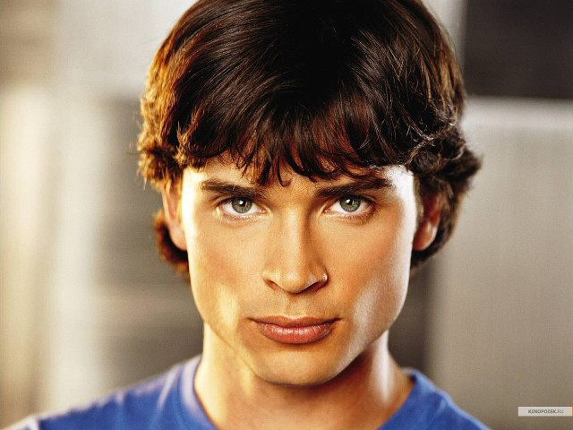 Man blue shirt serious look free wallpaper for desktop - medium preview image