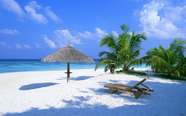 Beach palm umbrella bench sand #3 free wallpaper - medium preview image