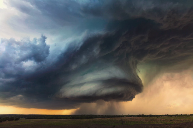 Storm cloud field horse foreground free wallpaper - medium preview image