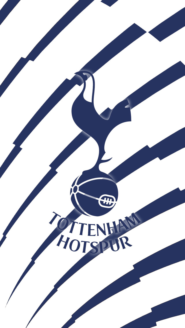 Blue white soccer ball bird free wallpaper - medium preview image