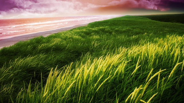 Grassy field ocean cloudy sunset free wallpaper - medium preview image