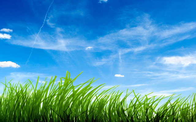 Green field blue sky clouds #77 free wallpaper - medium preview image