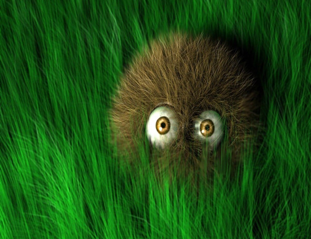 Furry animal hiding grass creepy free wallpaper - medium preview image