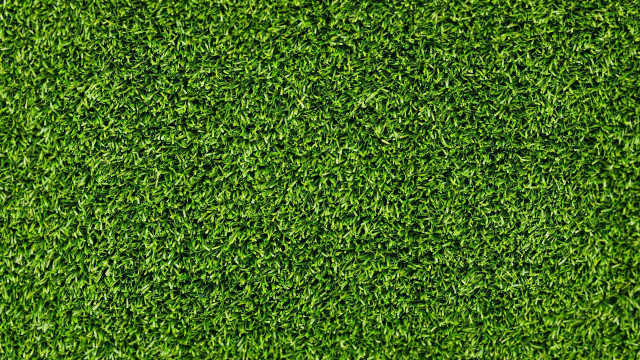 Green grass texture close up free wallpaper - medium preview image