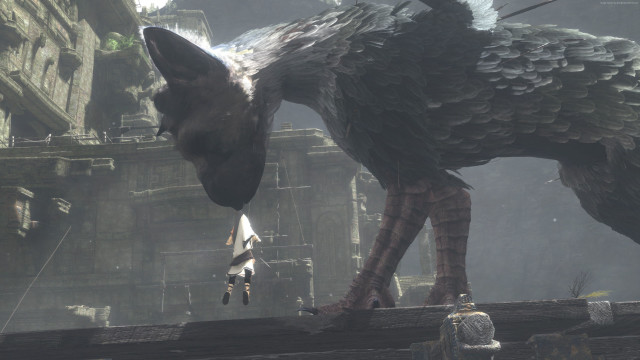 Giant bird wooden fence city free wallpaper - medium preview image