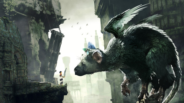 Creature hat city buildings person free wallpaper - medium preview image