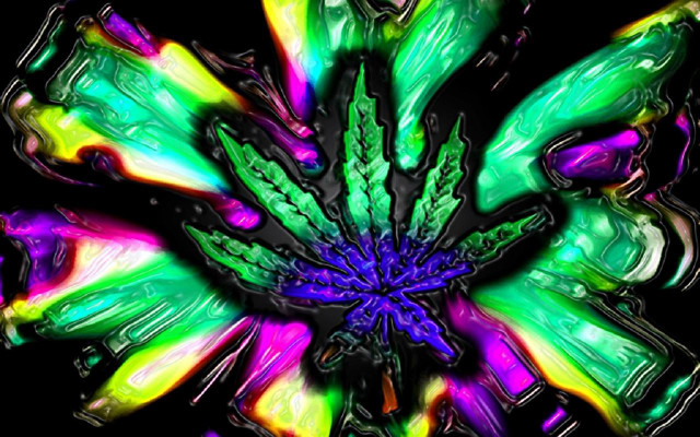 Colorful flower black background green #3 free wallpaper - medium preview image