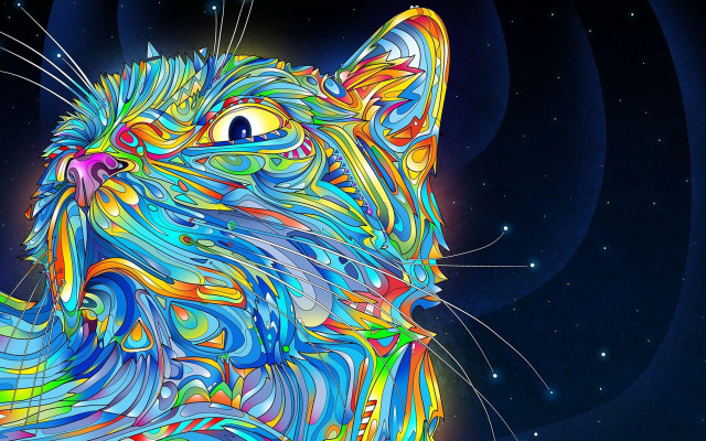 Colorful cat blue background stars #2 free wallpaper - medium preview image
