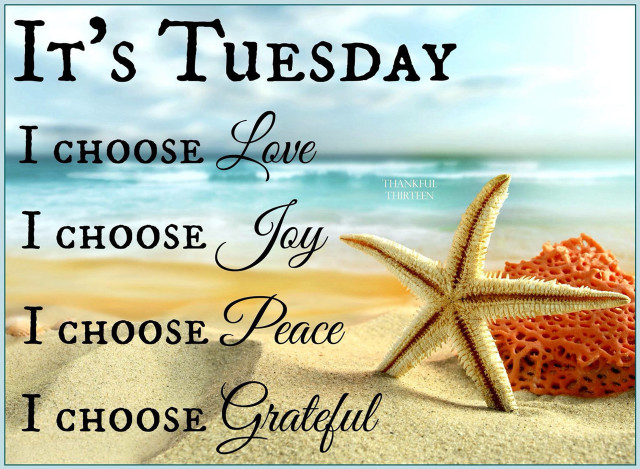 Starfish beach tuesday choose love free wallpaper - medium preview image
