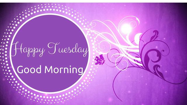 Purple flower happy tuesday morning free wallpaper - medium preview image