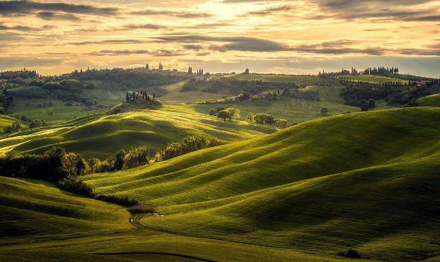 Green field trees hills sunset #2 free wallpaper - medium preview image
