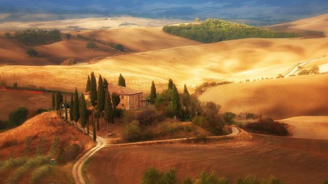 House field road trees distance free wallpaper - medium preview image