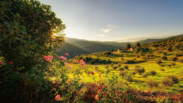 Scenic view valley house flowers free wallpaper - medium preview image