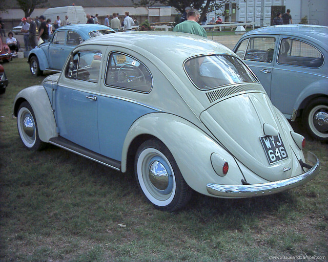 Old cars parked grass field free wallpaper - medium preview image