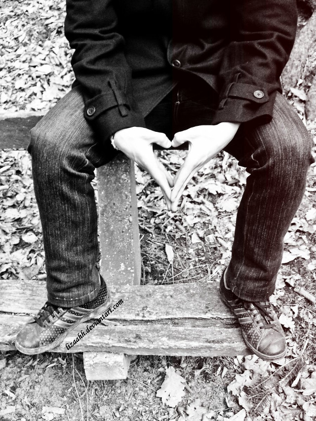 Couple bench woods hands heart free wallpaper - medium preview image