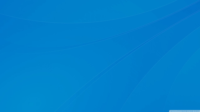 Blue background white bird flying free wallpaper - medium preview image