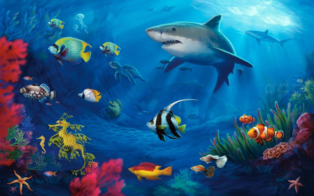 Shark ocean corals fish animals free wallpaper - medium preview image