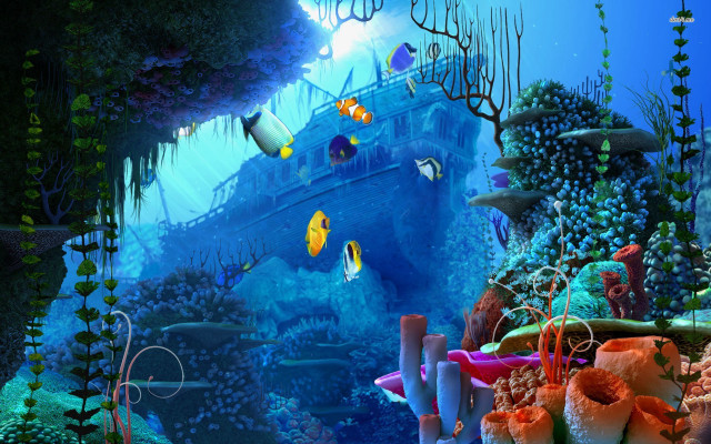 Boat ocean corals marine life #3 free wallpaper - medium preview image