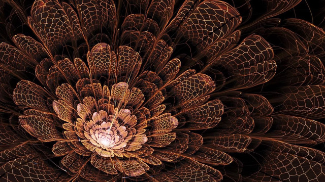 Large flower intricate center fractals free wallpaper - medium preview image