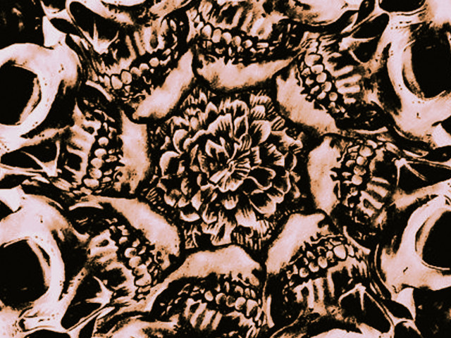 Flower skulls black white red free wallpaper - medium preview image