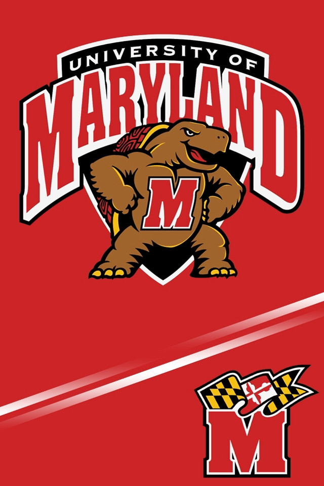 University maryland logo red background free wallpaper - medium preview image