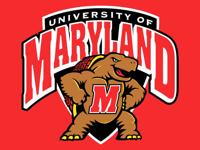 University of maryland logo red free wallpaper - medium preview image