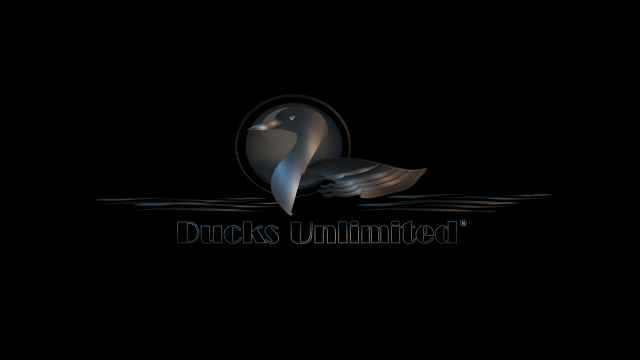 Swan floating lake night duros free wallpaper - medium preview image