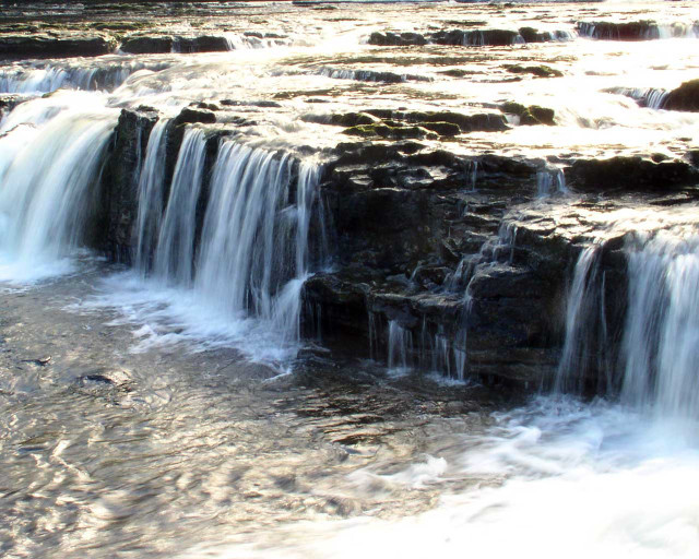 Waterfall cascading bird flying nature free wallpaper - medium preview image