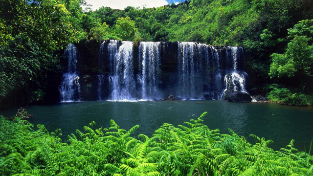 Waterfall large trees bushes body free wallpaper - medium preview image
