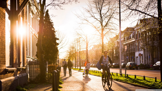 Bike ride sidewalk building windows free wallpaper - medium preview image