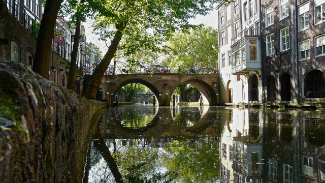 Bridge river tree buildings reflection free wallpaper - medium preview image