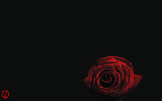 Red rose dark red light free wallpaper - medium preview image
