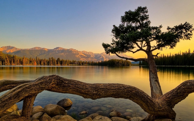 Tree lake mountains sunset dawn #5 free wallpaper - medium preview image