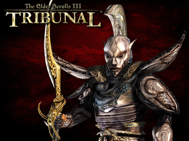 Elder scrolls ii character sword free wallpaper - medium preview image