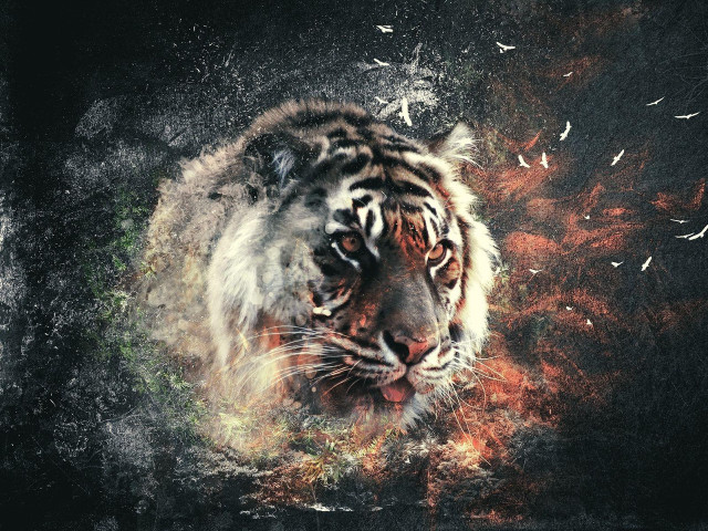 Tiger birds flying around neck free wallpaper - medium preview image