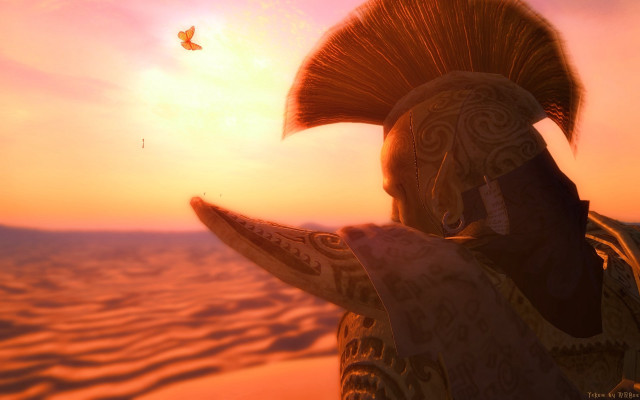Mohawk man desert sunset bird free wallpaper - medium preview image