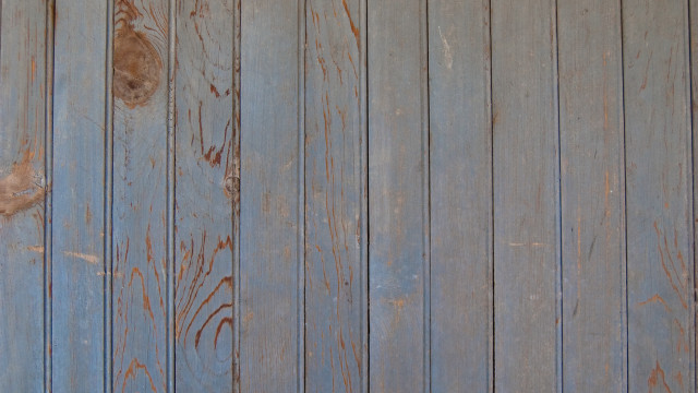 Cat sitting wooden floor peeling free wallpaper - medium preview image
