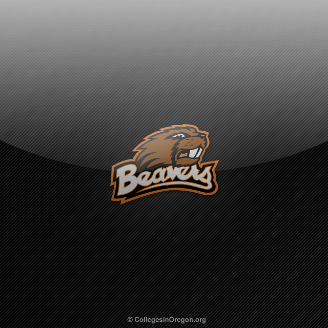 Bear logo black background brown free wallpaper - medium preview image