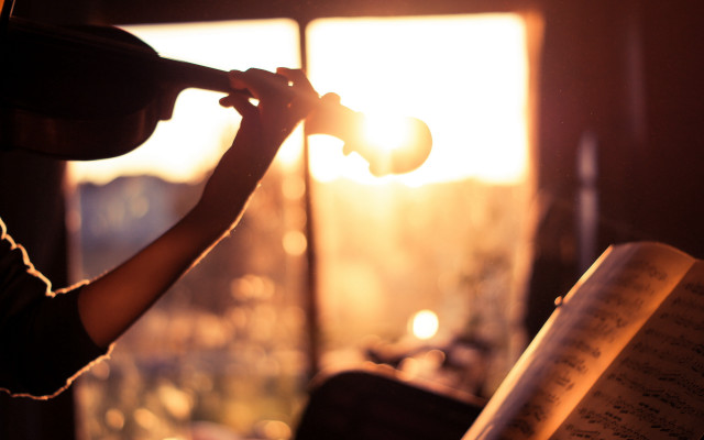 Trumpet player room window book free wallpaper - medium preview image