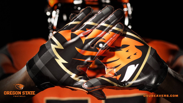 Close up person glove tiger free wallpaper - medium preview image