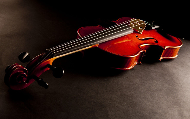 Violin rose black surface boleslaw free wallpaper - medium preview image