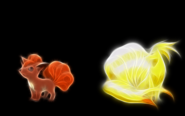 Flower cat black background light free wallpaper - medium preview image