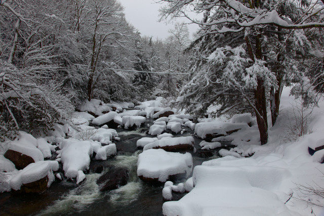 Snowy stream forest rocks trees free wallpaper - medium preview image