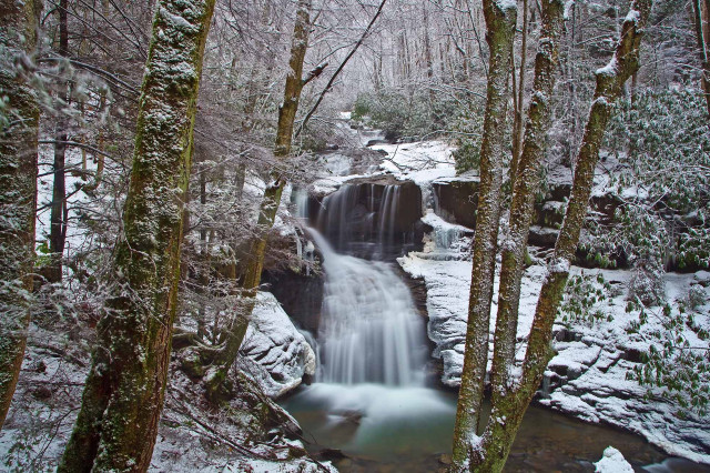 Snowy forest waterfall rocks trees free wallpaper - medium preview image