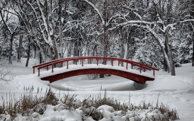 Red bridge snowy park pond #2 free wallpaper - medium preview image