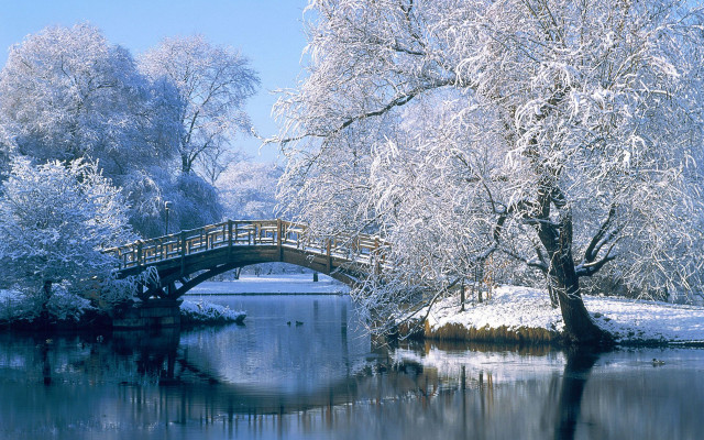 Bridge river snow trees small #3 free wallpaper - medium preview image